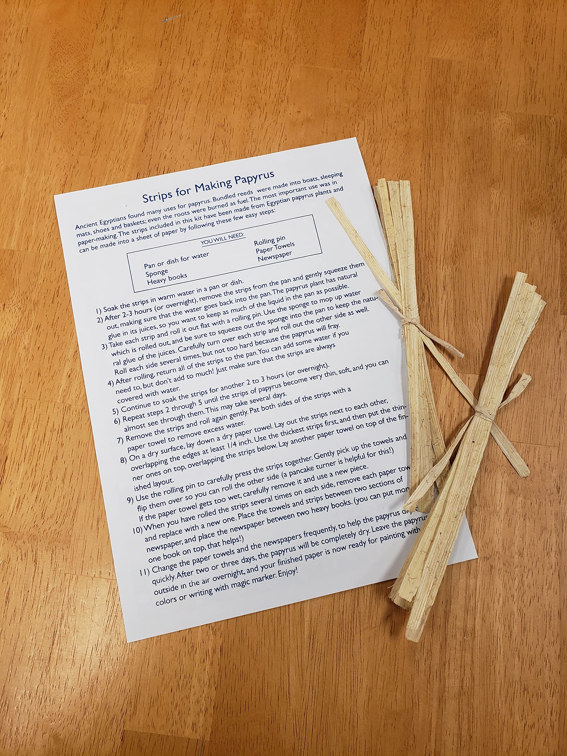 Amazon.co.jp: Papyrus アクティビティキット 教育用パピルス